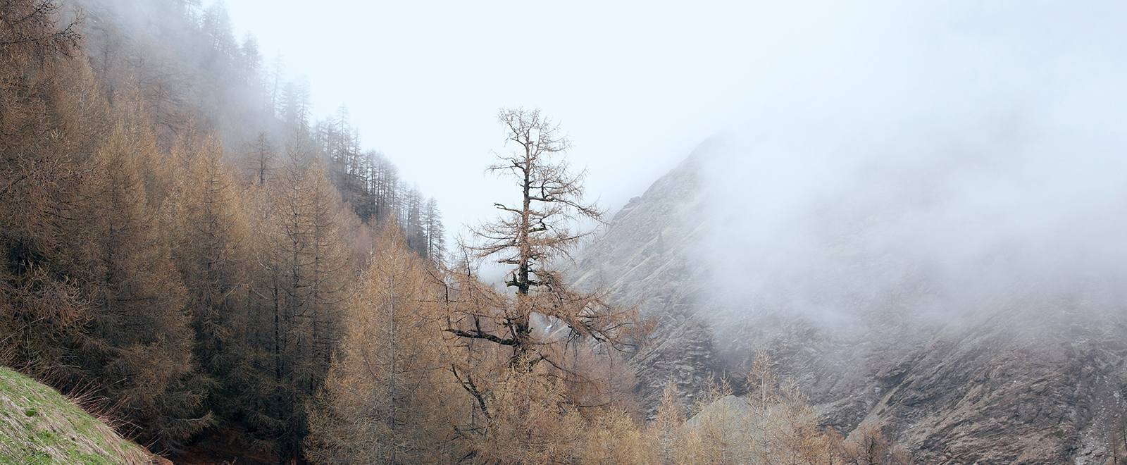 ddos攻击在哪能买到