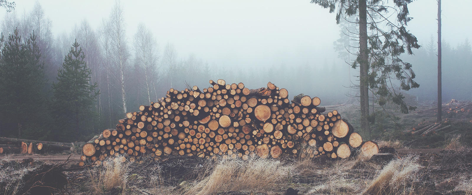 ddos流量攻击购买